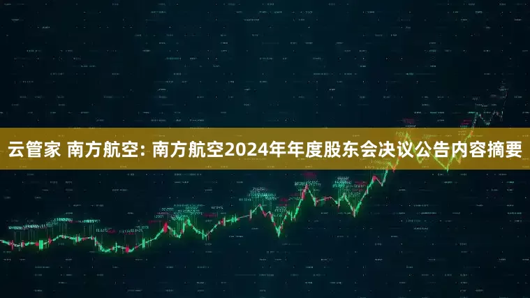 云管家 南方航空: 南方航空2024年年度股东会决议公告内容摘要