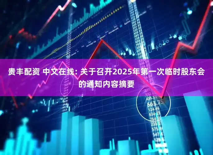 贵丰配资 中文在线: 关于召开2025年第一次临时股东会的通知内容摘要