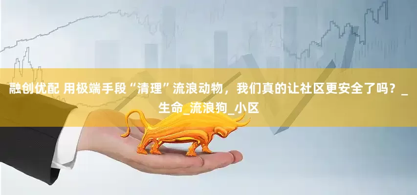融创优配 用极端手段“清理”流浪动物，我们真的让社区更安全了吗？_生命_流浪狗_小区