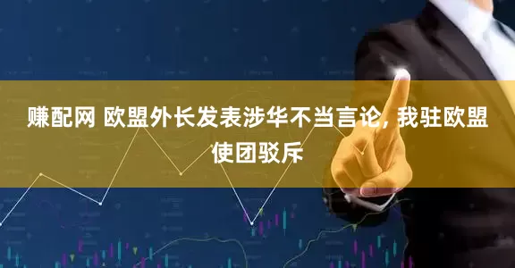 赚配网 欧盟外长发表涉华不当言论, 我驻欧盟使团驳斥