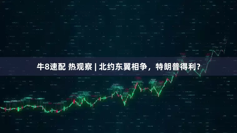 牛8速配 热观察 | 北约东翼相争，特朗普得利？